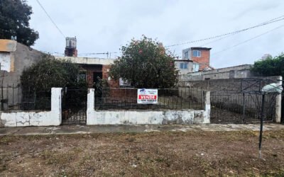 Juan de la Piedra 533